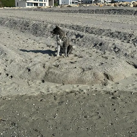Aky&suki Sea View * Olimp
